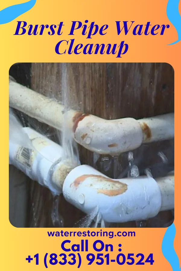 Burst Pipe Water Cleanup in New Providence, IA