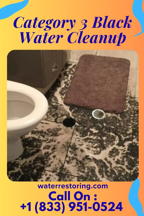 Category 3 Black Water Cleanup in New Providence, IA
