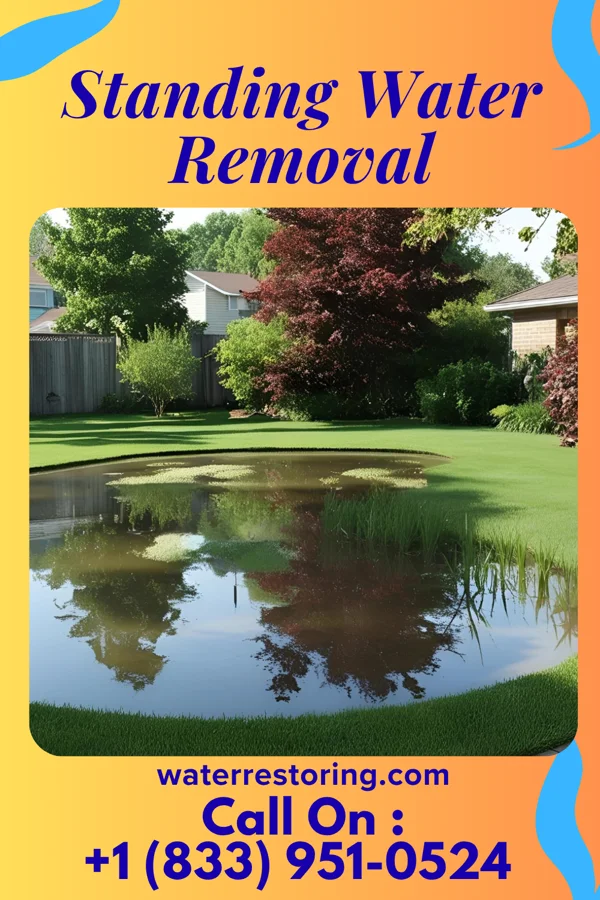 Standing Water Removal in New Providence, IA
